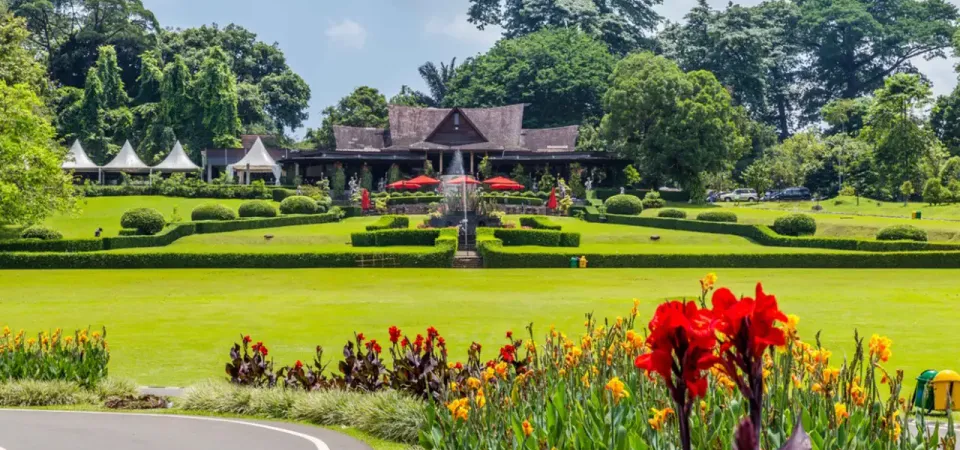Primary image of Full Day Bogor Botanical Garden And Puncak Highland Tour tour
